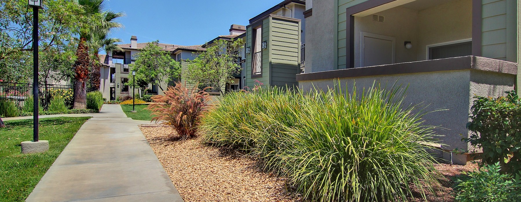 a sidewalk and some bushes