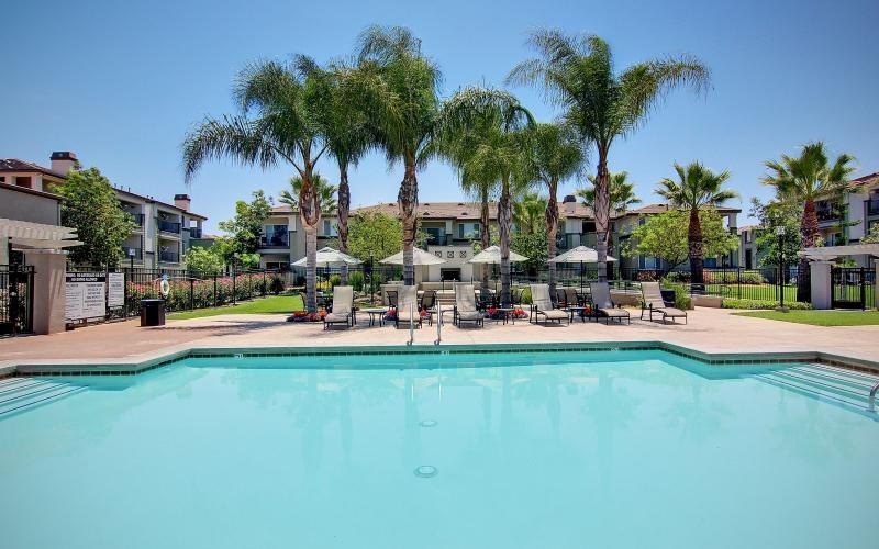 a pool with trees around it